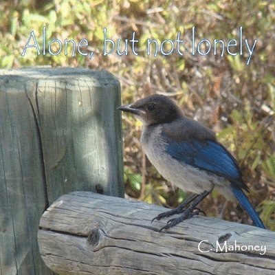 Alone, but not lonely