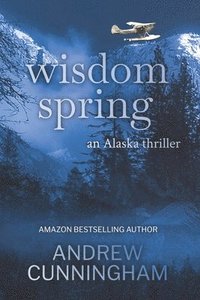 bokomslag Wisdom Spring