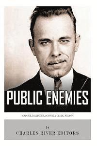 bokomslag Public Enemies: Al Capone, John Dillinger, Bonnie & Clyde, and Baby Face Nelson