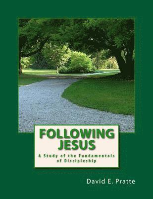 bokomslag Following Jesus