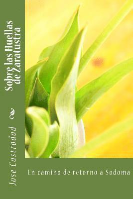 Jose Castrodad - Sobre las Huellas de Zaratustra: En camino hacia el retorno, Häftad