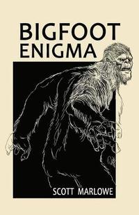 bokomslag Bigfoot Enigma