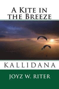 Joyz W. Riter - A Kite in the Breeze, Häftad