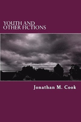 bokomslag Youth and Other Fictions