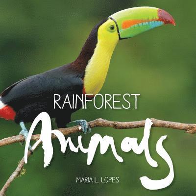 Rainforest Animals 1