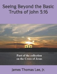bokomslag Seeing Beyond the Basic Truths of John 3