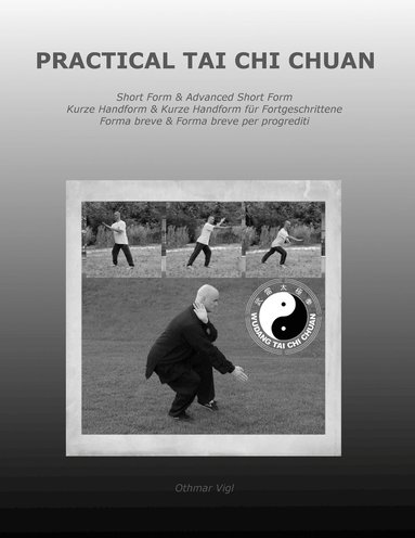 bokomslag Practical Tai Chi Chuan