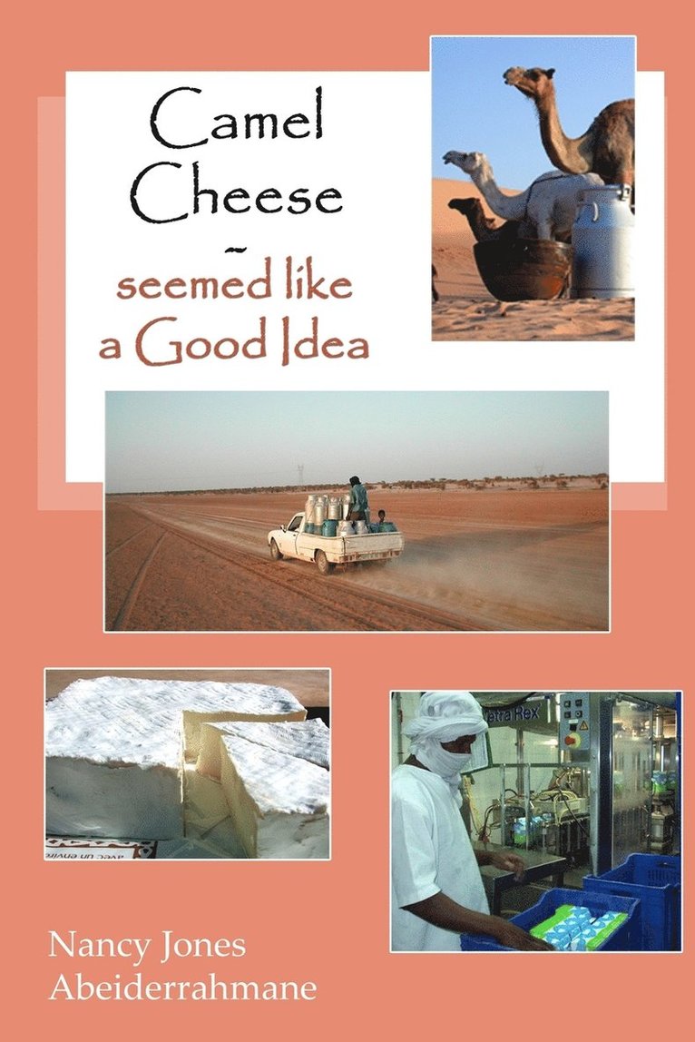 Camel Cheese - Seemed like a Good Idea 1