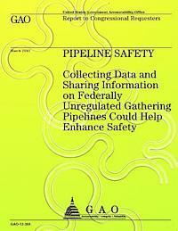 bokomslag Pipeline Safety Collecting Data and Sharing Information on Federally Unregulated Gathering Pipelines Could Help Enhance Safety