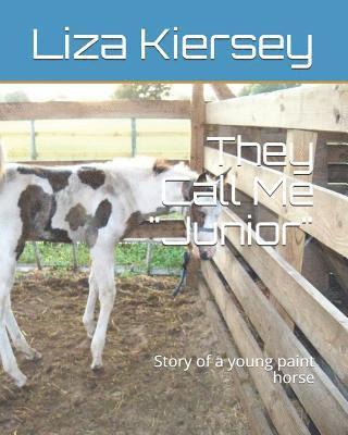 They Call Me Junior: Story of a young paint horse 1