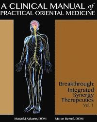 bokomslag A Clinical Manual of Practical Oriental Medicine: Breakthrough: Integrated Synergy Therapeutics