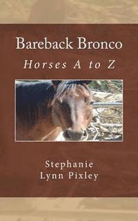 Bareback Bronco 1