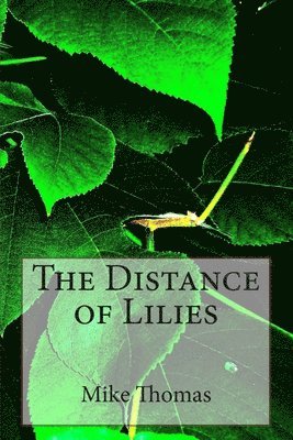 The Distance of Lilies 1