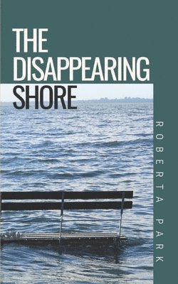 bokomslag The Disappearing Shore