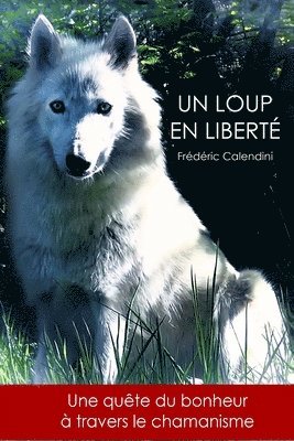 bokomslag Un Loup En Liberté - Une quête du bonheur à travers le chamanisme