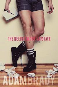 bokomslag The Needle in the Gaystack: A Memoir