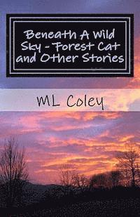bokomslag Beneath A Wild Sky - Forest Cat and Other Stories