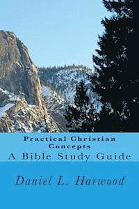 bokomslag Practical Christian Concepts
