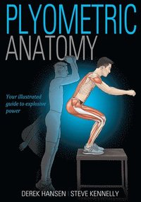 bokomslag Plyometric Anatomy