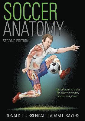 Soccer Anatomy 1