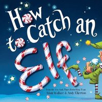bokomslag How to Catch an Elf