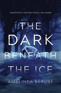 bokomslag The Dark Beneath the Ice