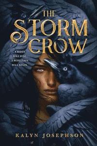 bokomslag The Storm Crow