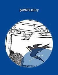 bokomslag Birdflight: A Science Drama Playscript