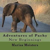 bokomslag Adventures of Pachy: New Beginnings