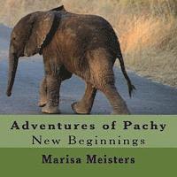 Adventures of Pachy: New Beginnings 1