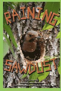 bokomslag Raining Sawdust: Whittlin' Wood Down Jefferson Highway