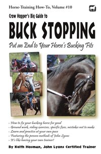 bokomslag Crow Hopper's Big Guide to Buck Stopping