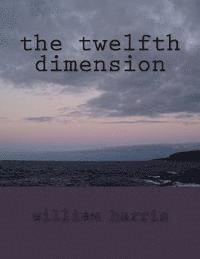 bokomslag The twelfth dimension