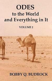 bokomslag Odes to the World and Everything in It Volume 2