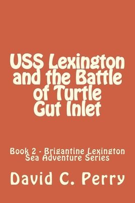 bokomslag USS Lexington and The Battle of Turtle Gut Inlet