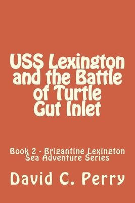 David C. Perry, Charles O. Perry - USS Lexington and The Battle of Turtle Gut Inlet, Häftad