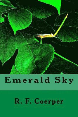 bokomslag Emerald Sky