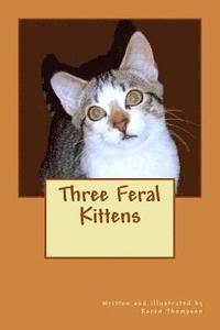 bokomslag Three Feral Kittens