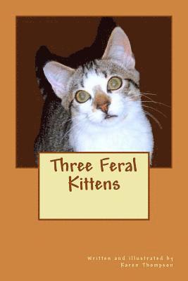 Karen Thompson - Three Feral Kittens, Häftad. Tillgänglighet: Lägg i varukorg