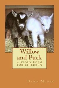 bokomslag Willow and Puck: a story poem for children