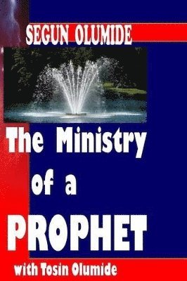 bokomslag Ministry of a Prophet