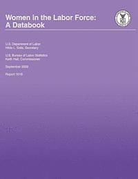 bokomslag Women in the Labor Force: A Databook