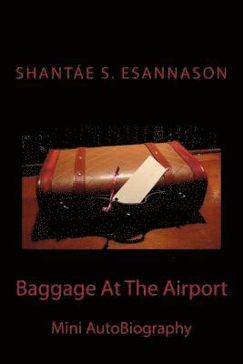 Baggage At The Airport 1