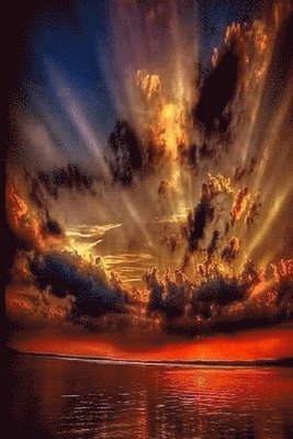 Wl Cox - Storm Warrior III, Häftad