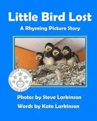 bokomslag Little Bird Lost