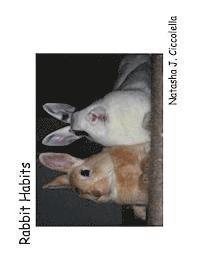 bokomslag Rabbit Habits