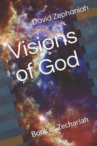 bokomslag Visions of God: Book of Zechariah