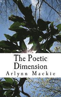 bokomslag The Poetic Dimension