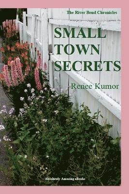 bokomslag Small Town Secrets