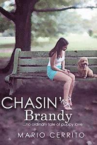 bokomslag Chasin' Brandy: an extraordinary tale of puppy love